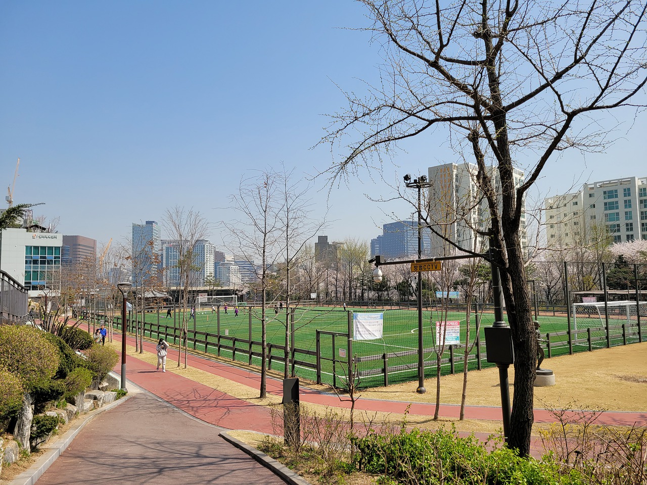 果固然重要 果固然重要