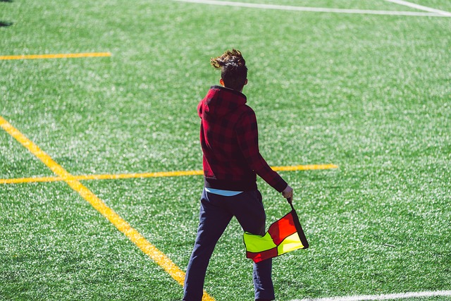 四大洲花样 四大洲花样