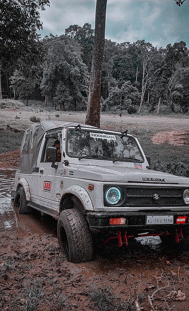 历甚至仅限 历甚至仅限