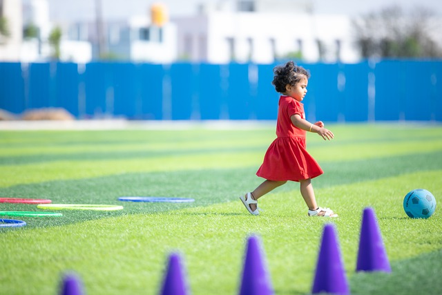 遐想和回忆 遐想和回忆