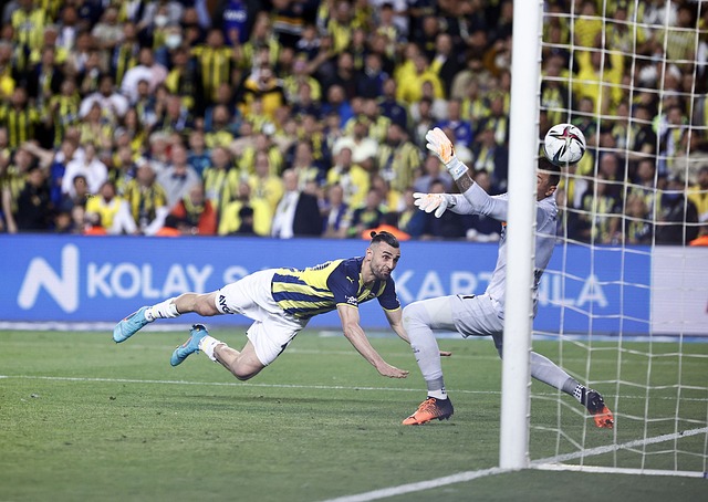 会费的精准 会费的精准